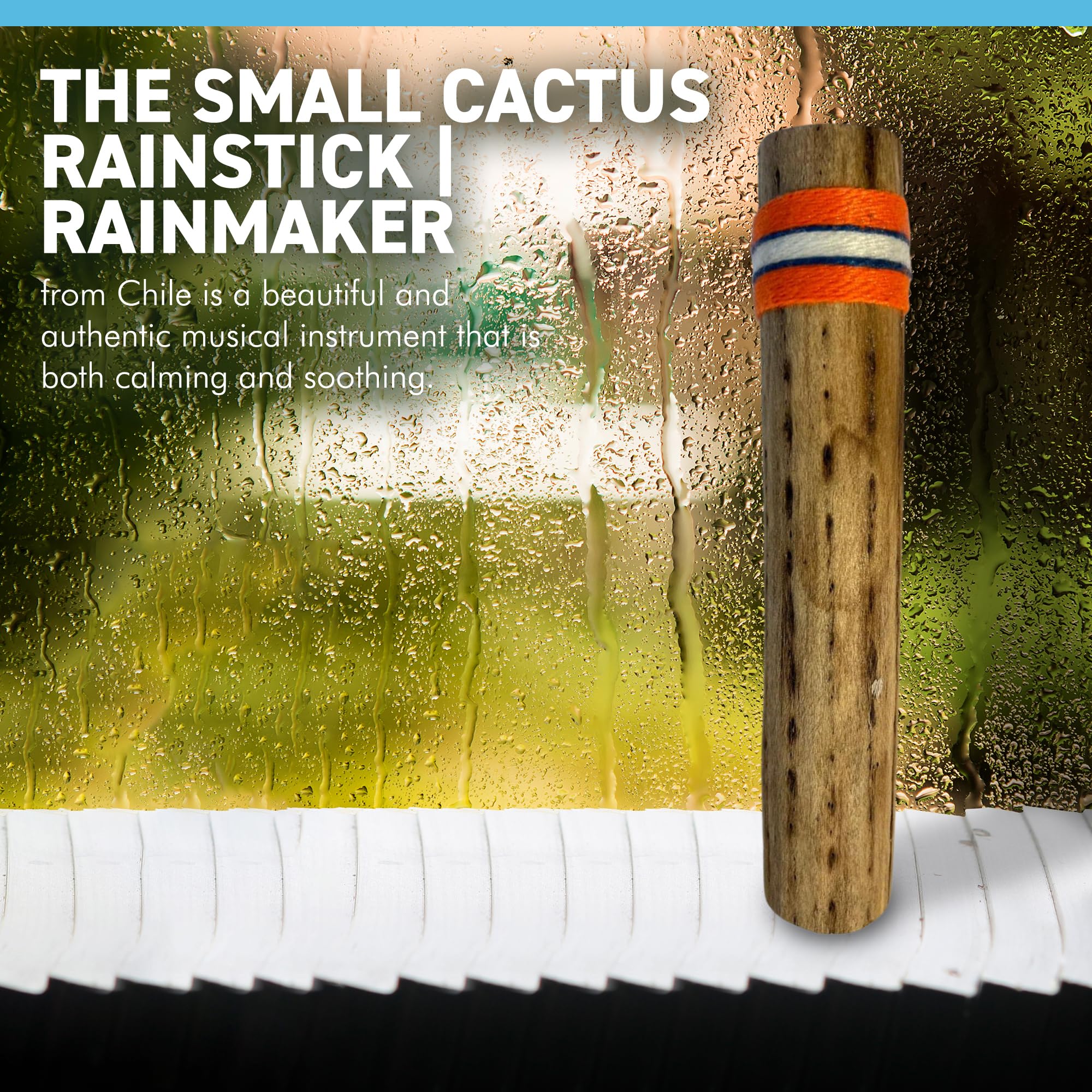 Chillean Kaktus-Regenmacher | 25 cm lang | 25,4 cm lang | Kaktus-Regenmacher  | Percussion-Musik | Regengerusche | tropischer Regenwald | ruhige  entspannende Klnge | Meditation | Shaker : Amazon.de: Musikinstrumente &  DJ-Equipment