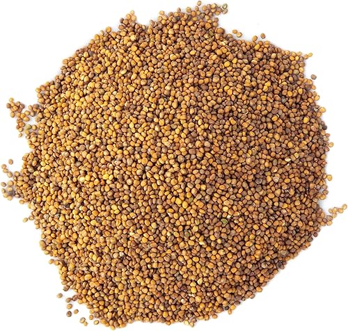 Miniatura 3 de Arugula Microgreen Seeds - Bolsa resellable de 1 libra a granel  Verdes picantes y sabrosos  Semillas tradicionales sin OMG  Ensalada de cohete por