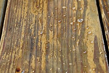 #1 Deck Wood Stain Stripper - 1 Gallon - Ready to Use, Wood Stain Remover Strips Weathered, Water-Based and Oil-Based Finishes