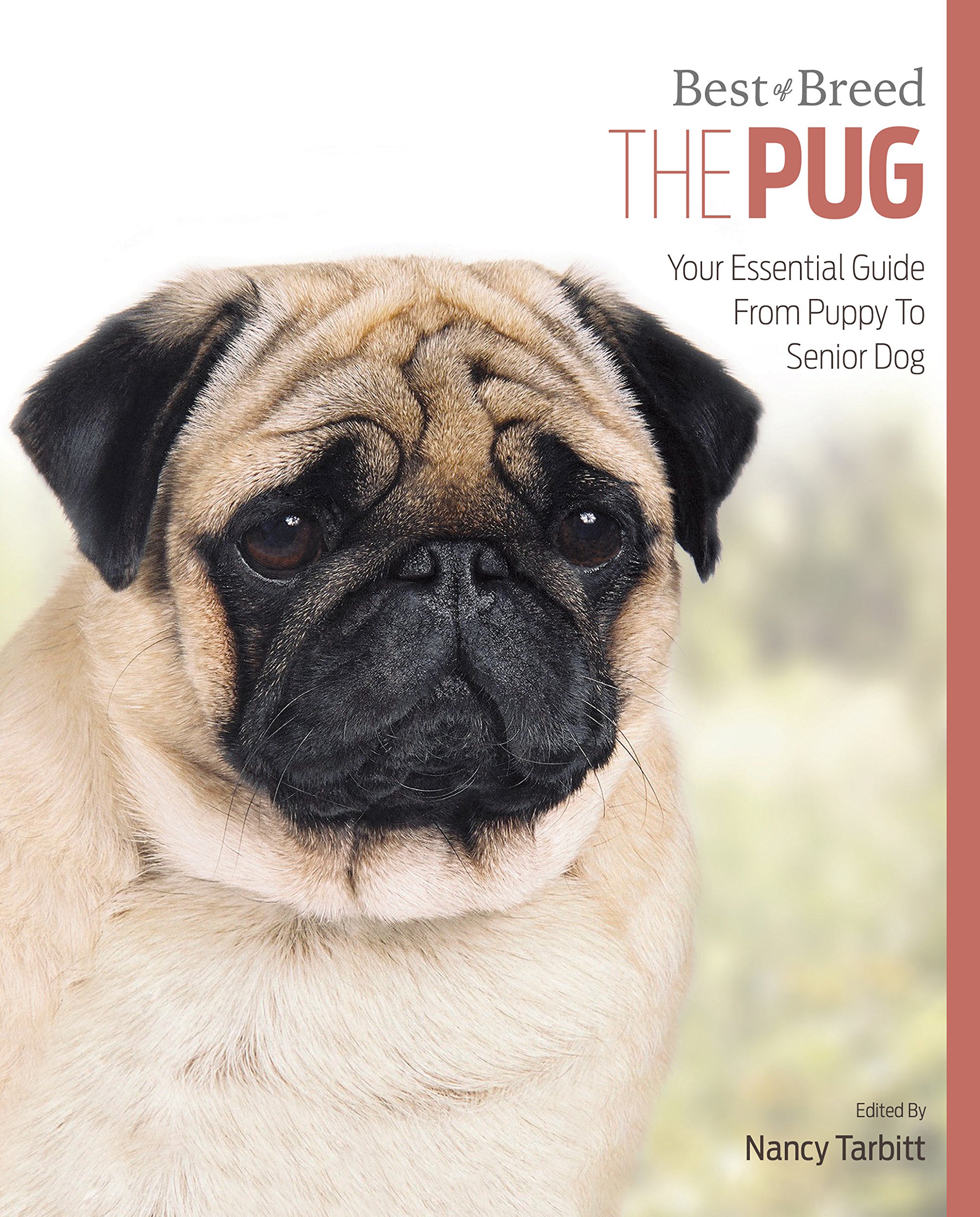 Pug: Best of Breed