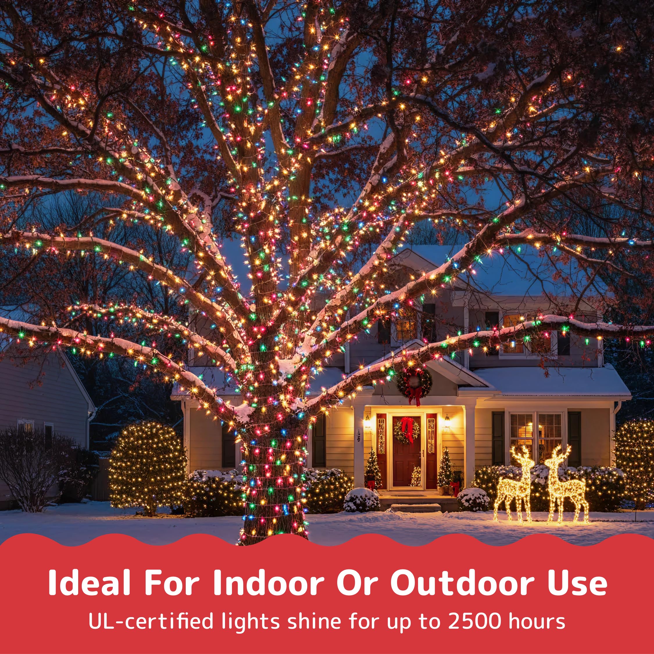 Amazon.com: PREXTEX 50 Ct. Multi-Color Christmas Tree Lights with