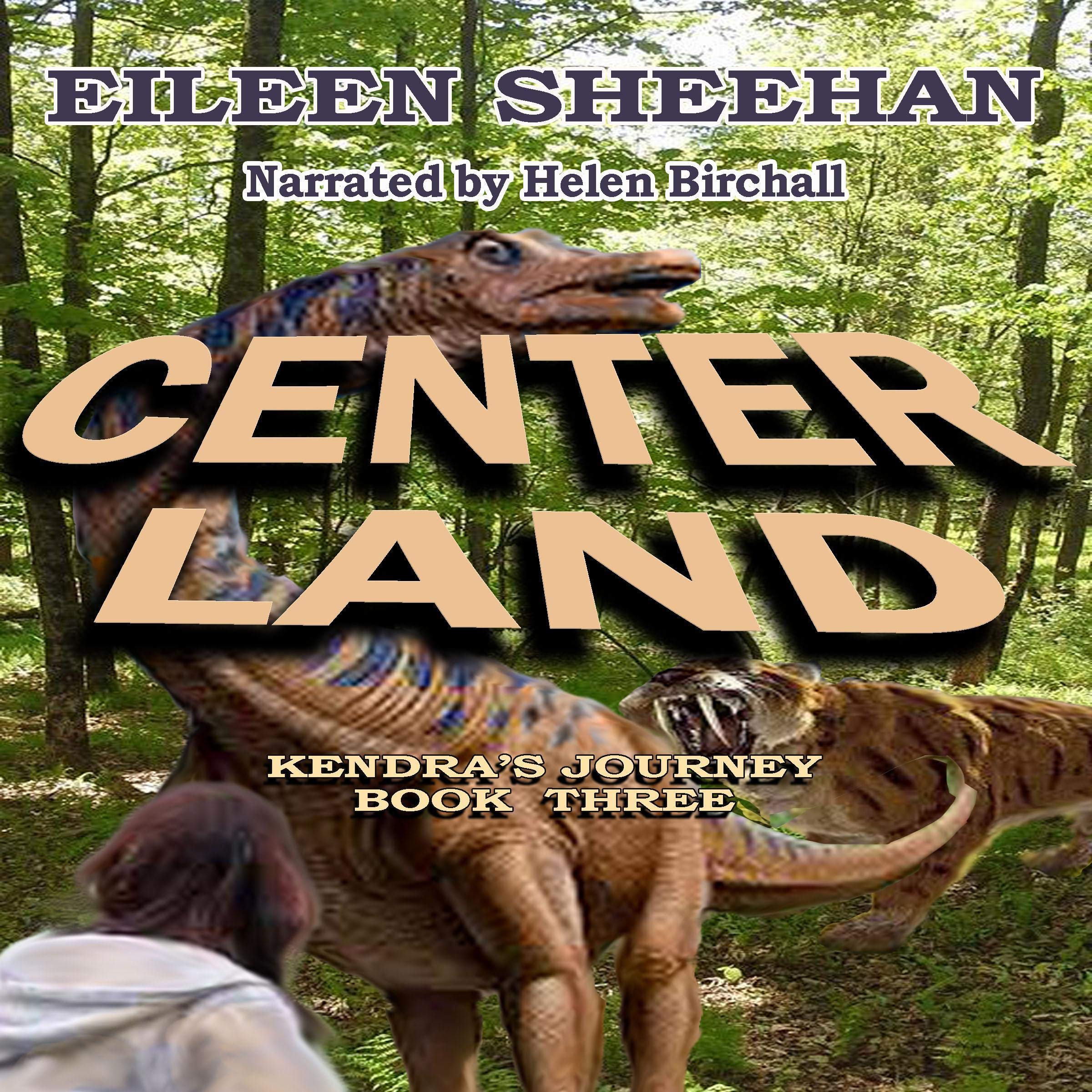 Cover art for Center Land