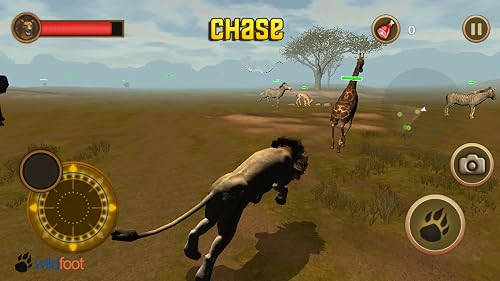 Lion Chase – vue 3