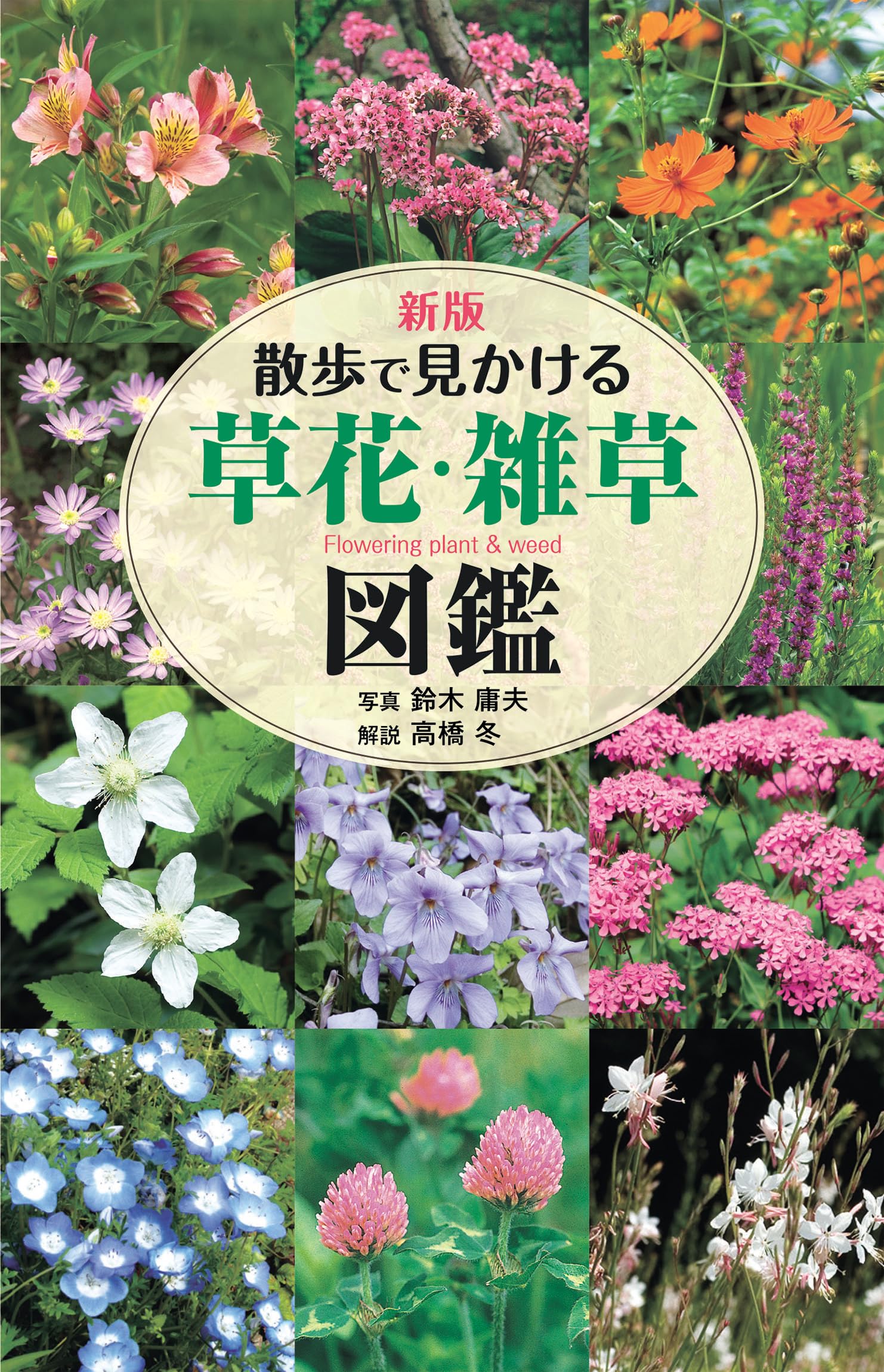草花百種　全4冊 新版 散歩で見かける 草花・雑草図鑑 | 高橋冬, 鈴木庸夫 |本 | 通販