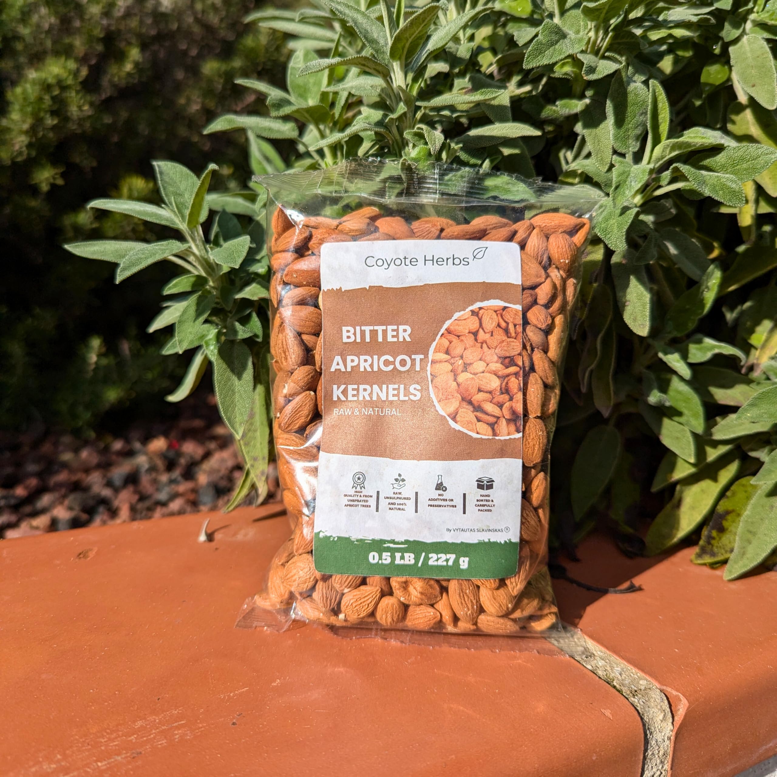 Granos de albaricoque/naturales/crudas/semillas de albaricoque amargo/vitamina B17/certificado/1 libra (16 onzas) 2 x 227 g