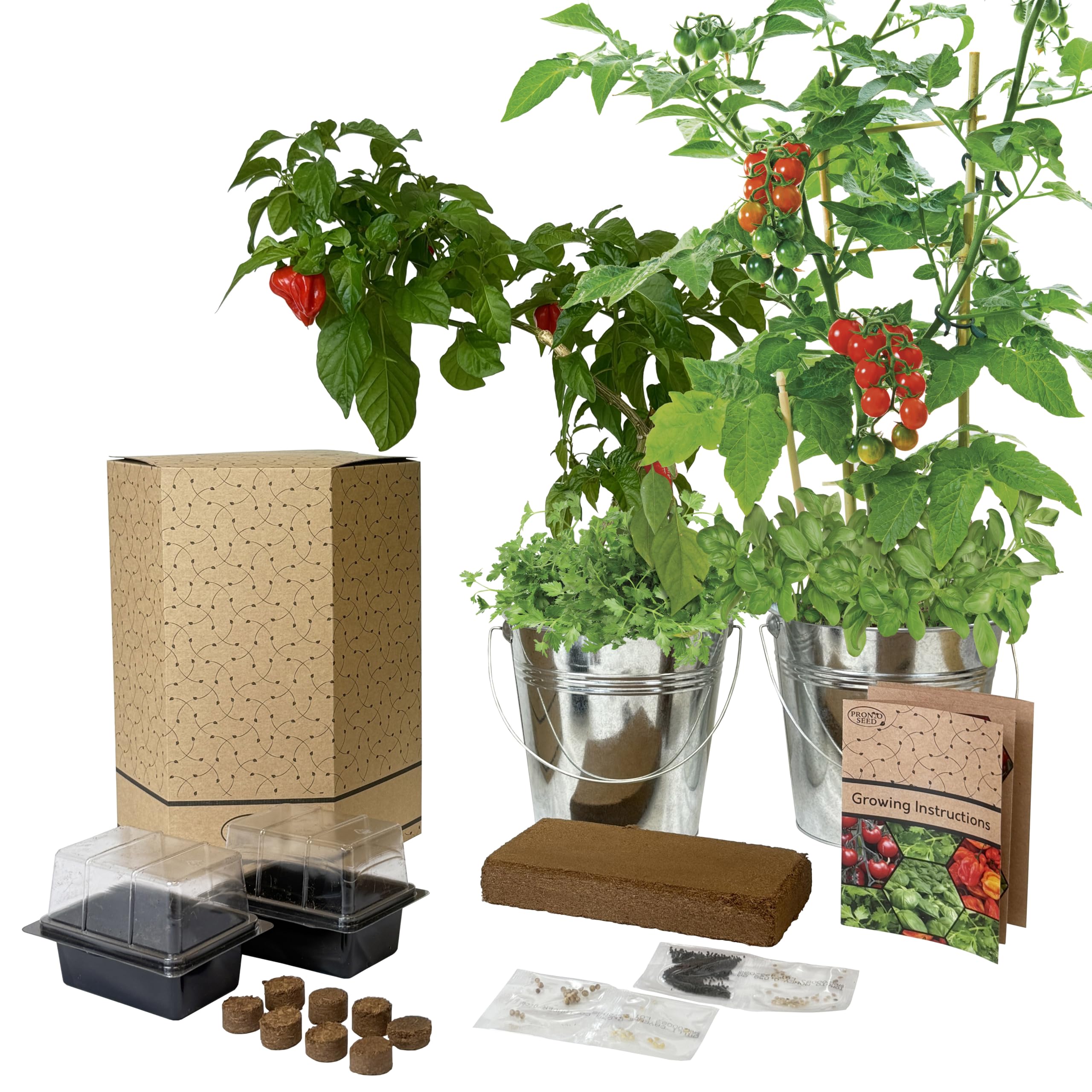Pronto Seed Chilli & Tomato Grow Kit - Twin Galvanised Buckets