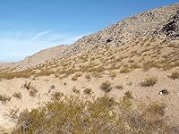 Review Image by jondo