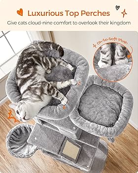 family cats　1001 Amazon.com : Feandrea Cat Tree, 39.8-Inch Cat Tower, XL, Cat