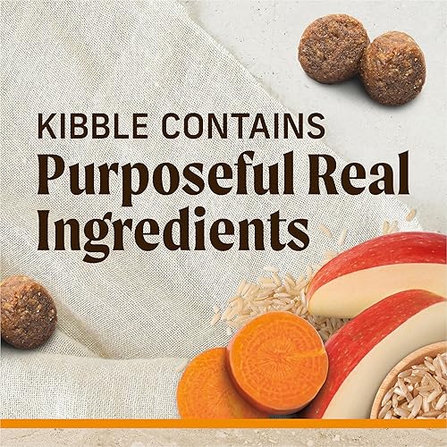 Miniatura 2 de Merrick Healthy Grains - Alimento seco prémium para perros adultos, croquetas saludables y naturales con pollo y arroz integral, bolsa de 12.0 libras