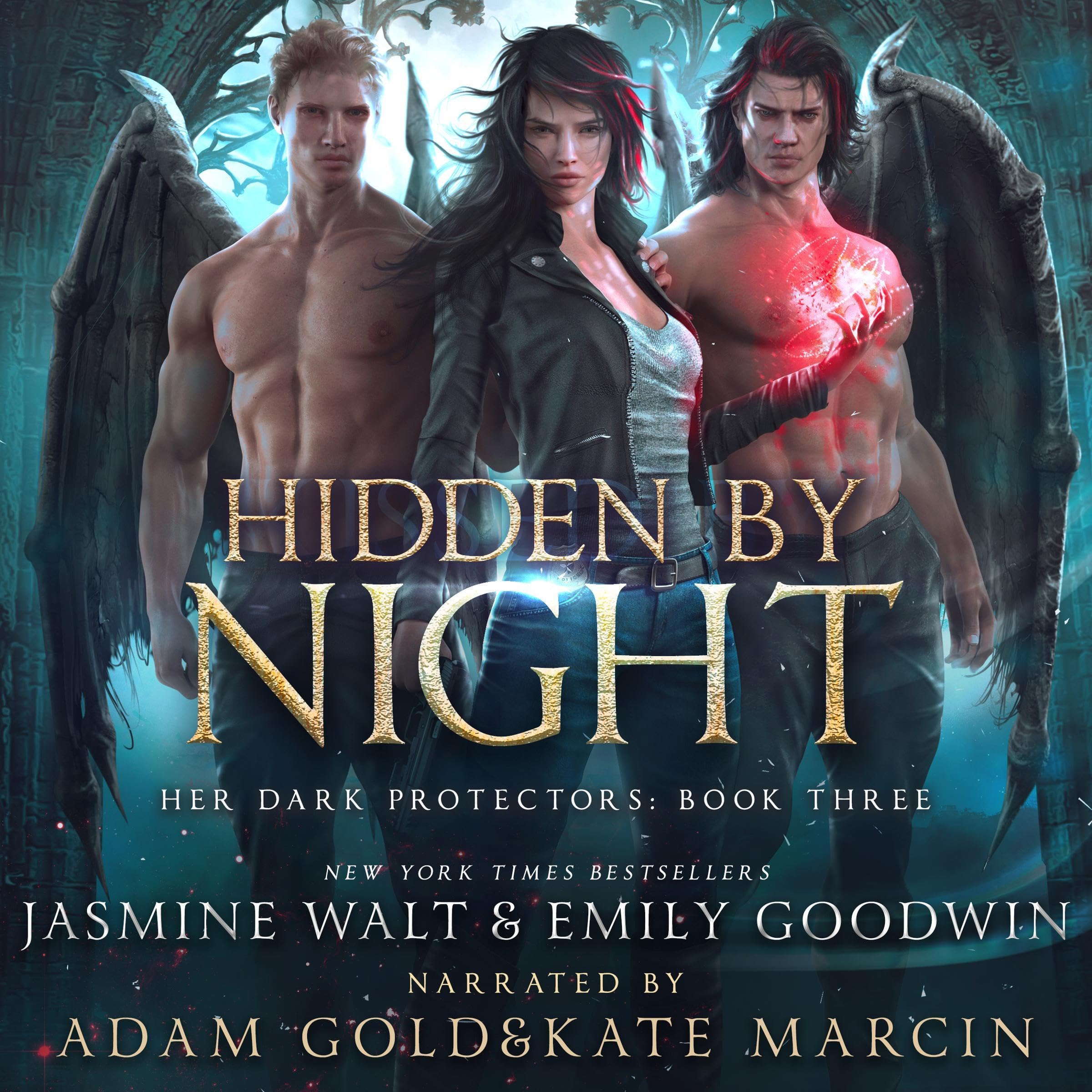 Cover art for Hidden by Night