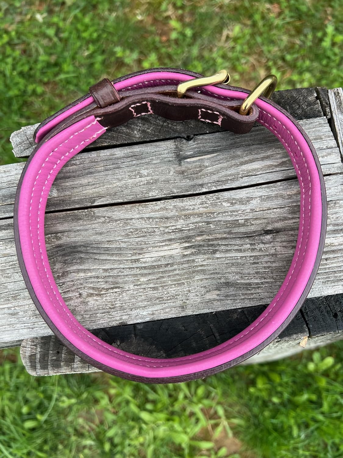 Leaders Leather Dog Collar with Customized Name Plate (Pink/Brown Medium/Large (15"-19"))