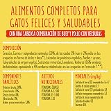 Ver la foto 7