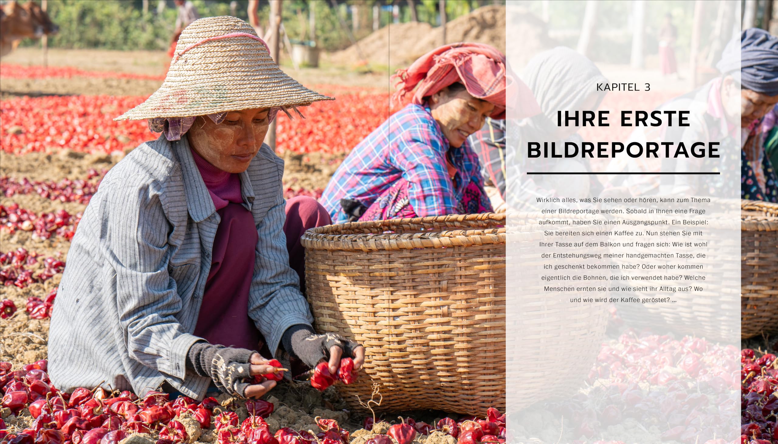 Fotografisches Storytelling: So erzählen Sie visuelle Geschichten. Bildreportagen finden, planen und durchführen. Mit vielen Beispielen
