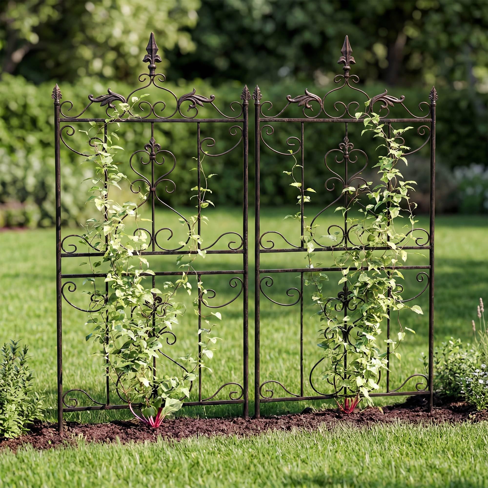 CLP 2er Set Rankgitter Metall Myrte, Rankhilfe für Rosen und Clematis im Landhausstil, Kletterhilfe für Hochbeet, Garten, Balkon oder Terrasse, Farbe:Bronze