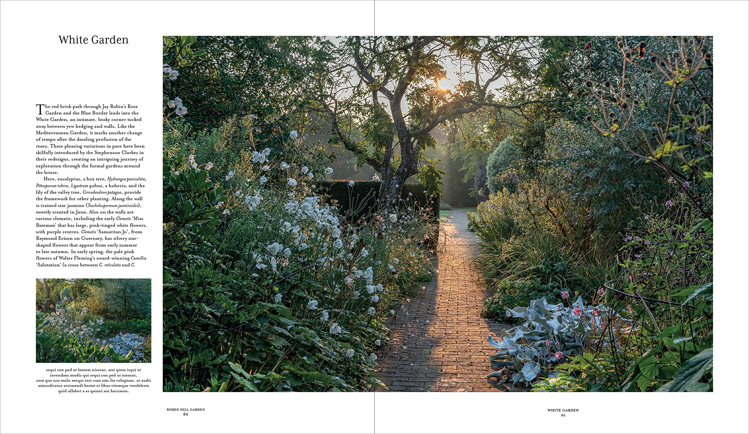 Borde Hill Garden: A Plant Hunter's Paradise