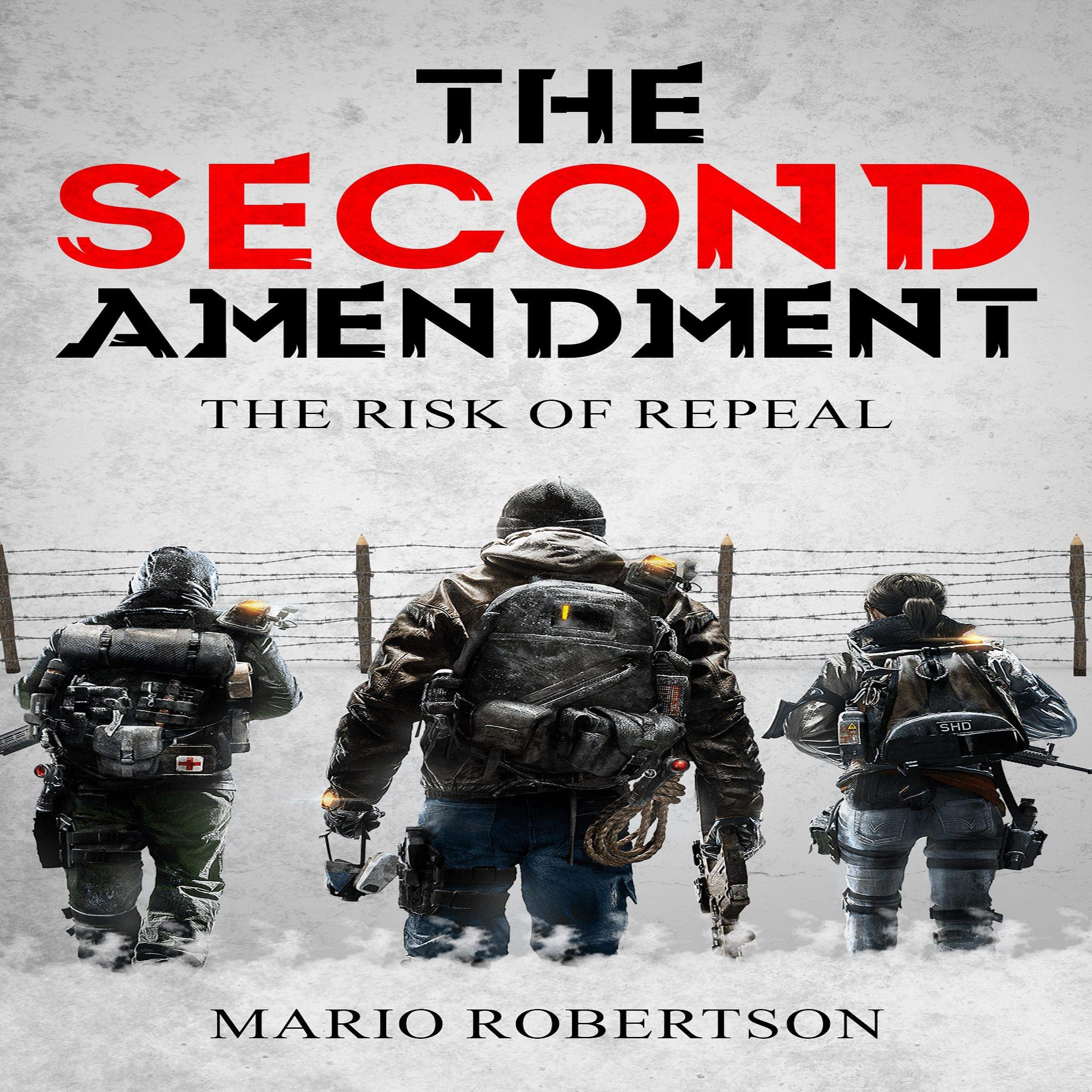 The Second Ammendment