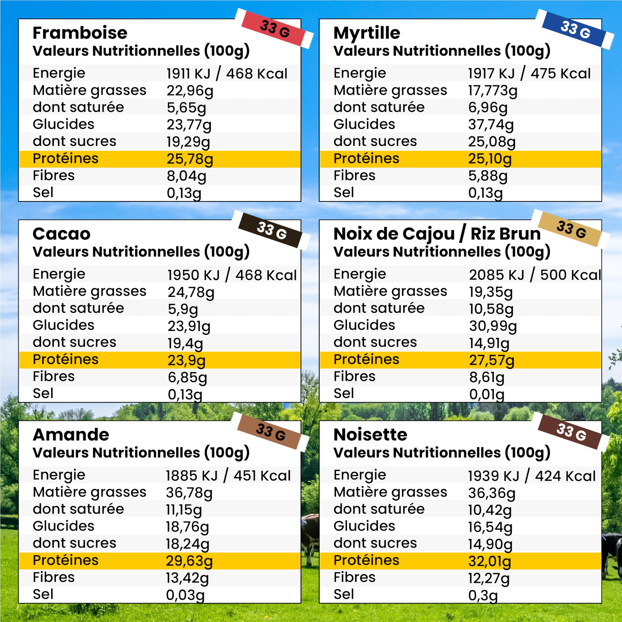 Barre Protéinée Végétale Bio - Saveur Noisette - Lot de 24 Barres Protéinées - Saine, 100% Naturelle et Fabriquée en France