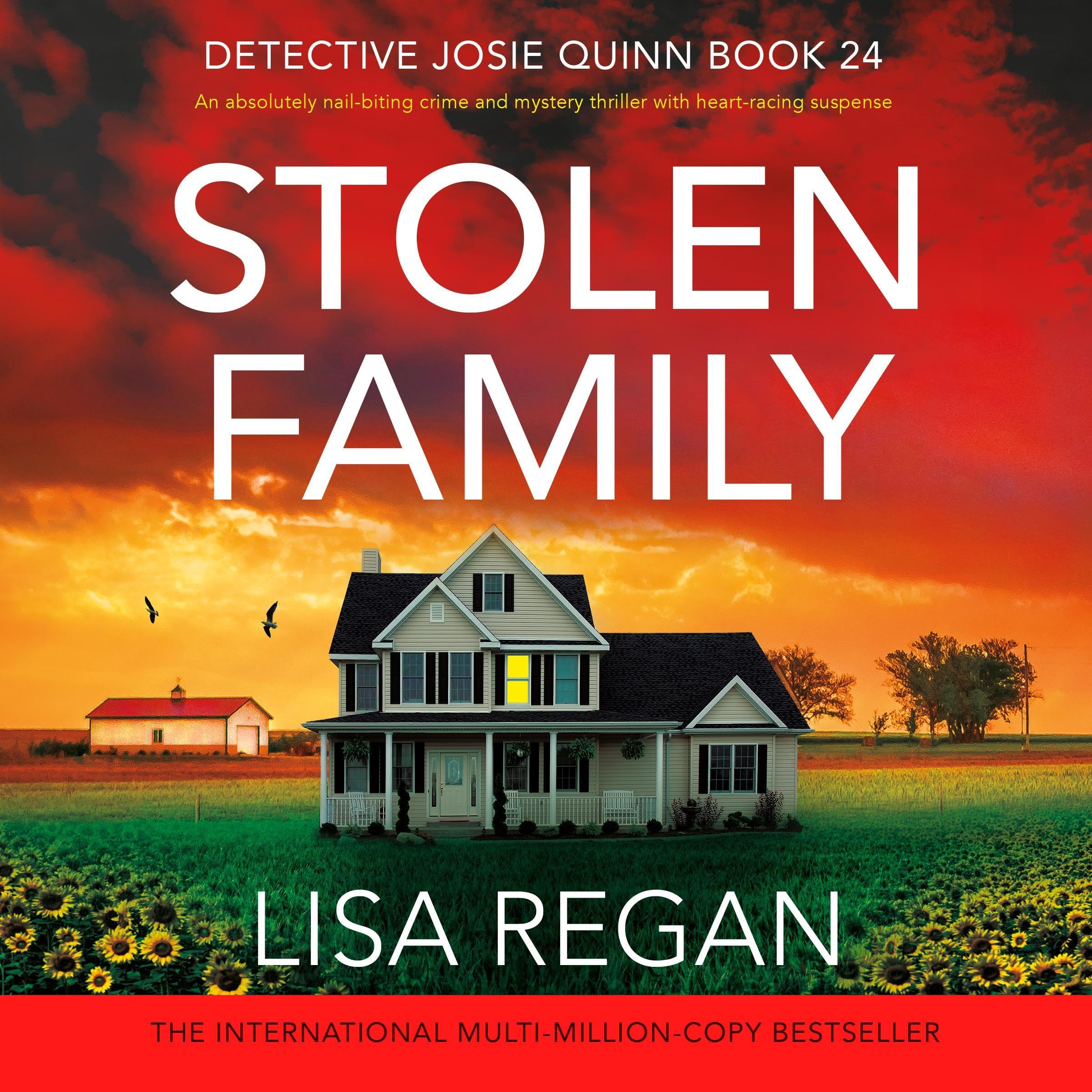 Cover art for Stolen Family