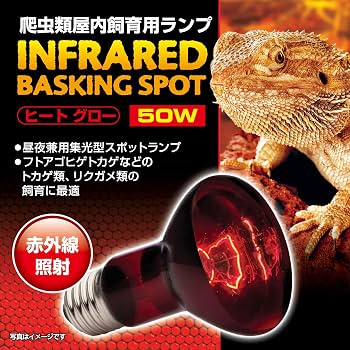 Amazon | Gヒートグロー赤外線照射ランプ 50W 8106040 | エキゾテラ