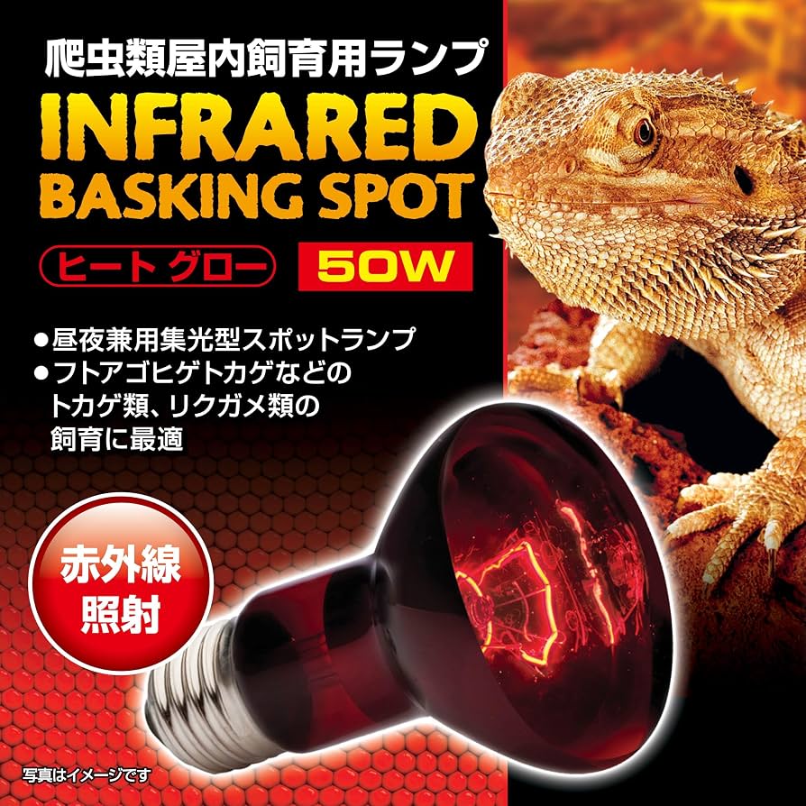 Amazon | Gヒートグロー赤外線照射ランプ 50W 8106040 | エキゾテラ Amazon | Gヒートグロー赤外線照射ランプ 50W 8106040 | エキゾテラ