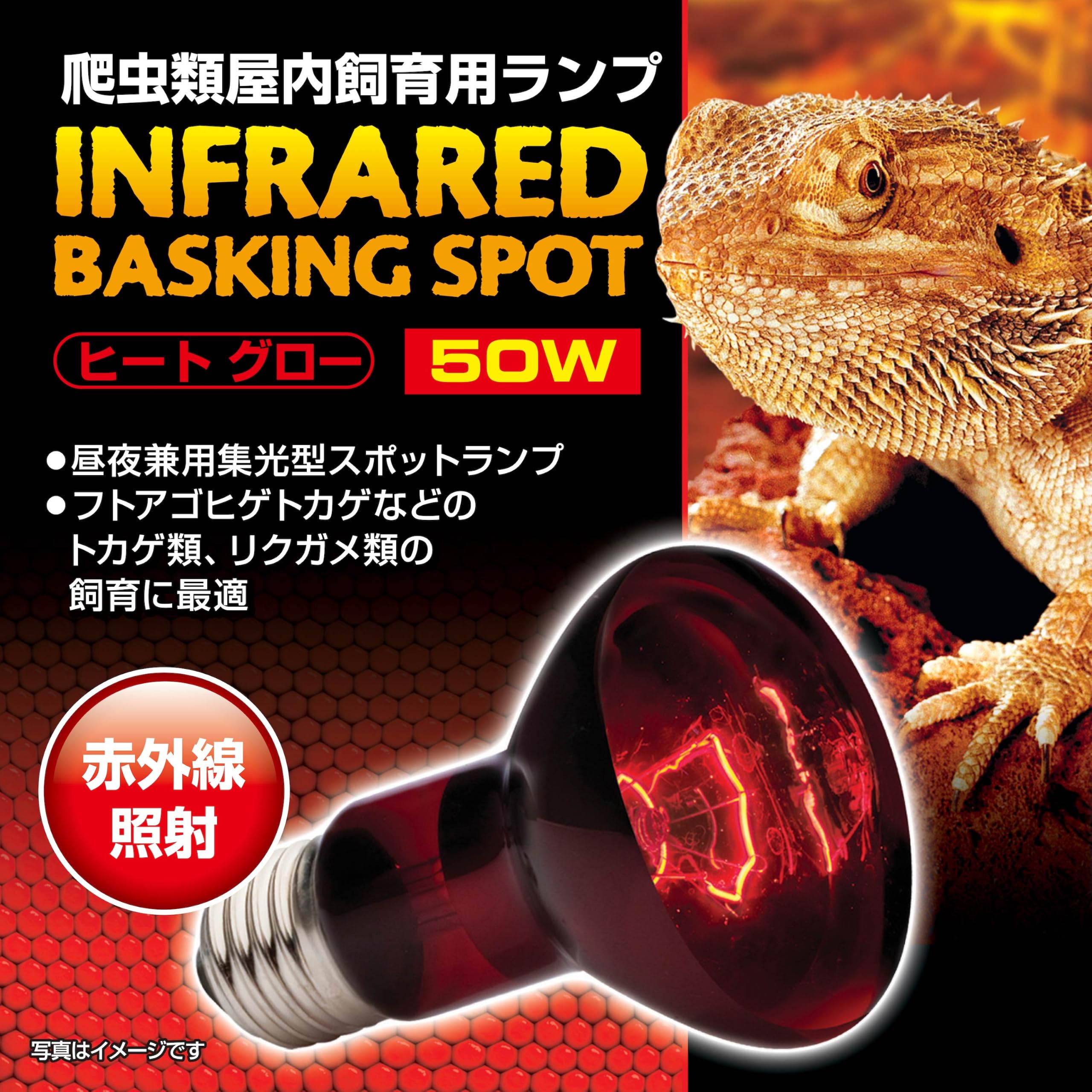 Amazon | Gヒートグロー赤外線照射ランプ 50W 8106040 | エキゾテラ