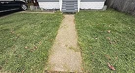 Review Image by Jd Jd