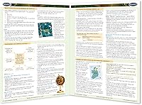 Vista 2 de Guía de geografía humana - Guía de referencia rápida por Permacharts