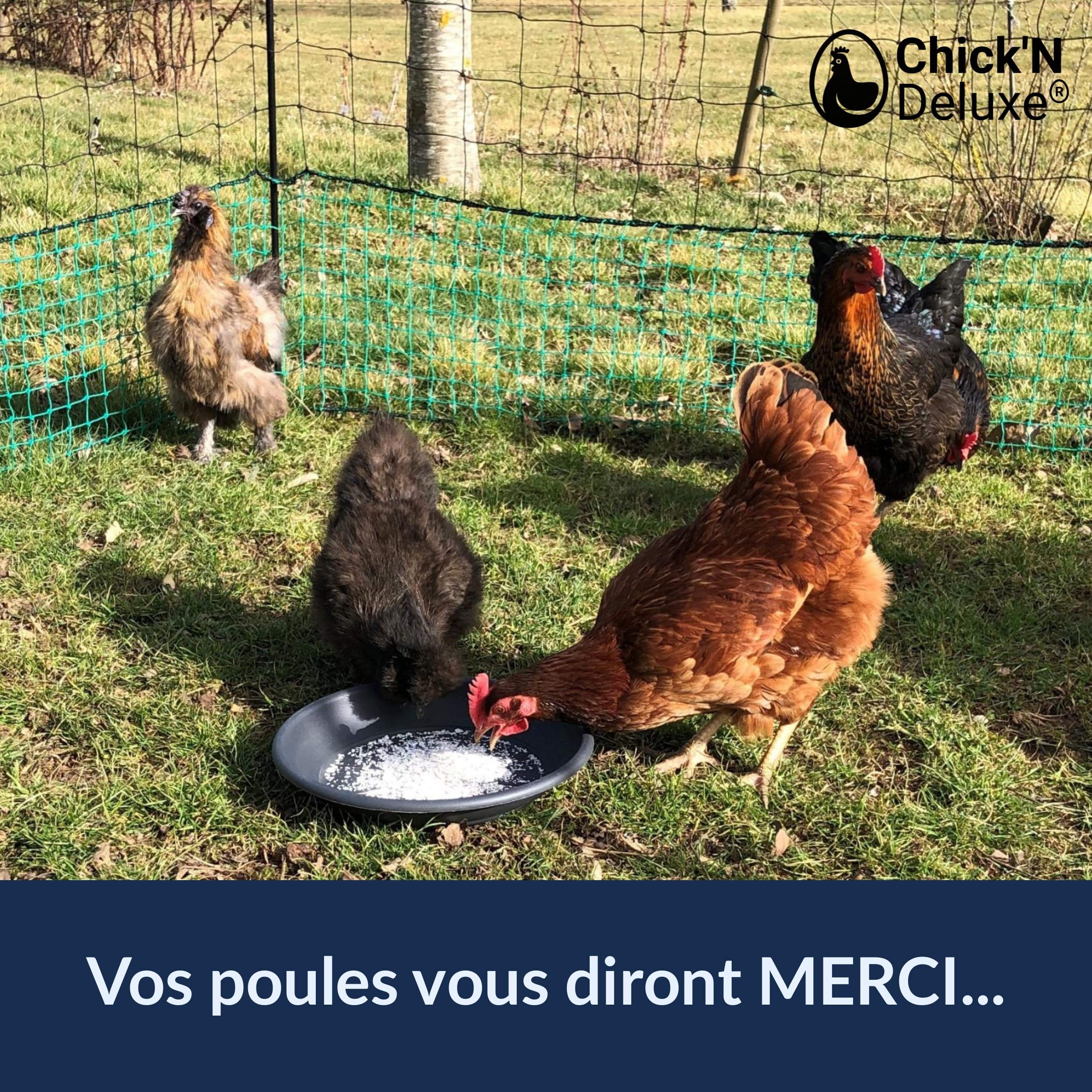 Chick'N Deluxe Calcium Booster 4Kg Coquilles Huîtres Poules Pondeuses