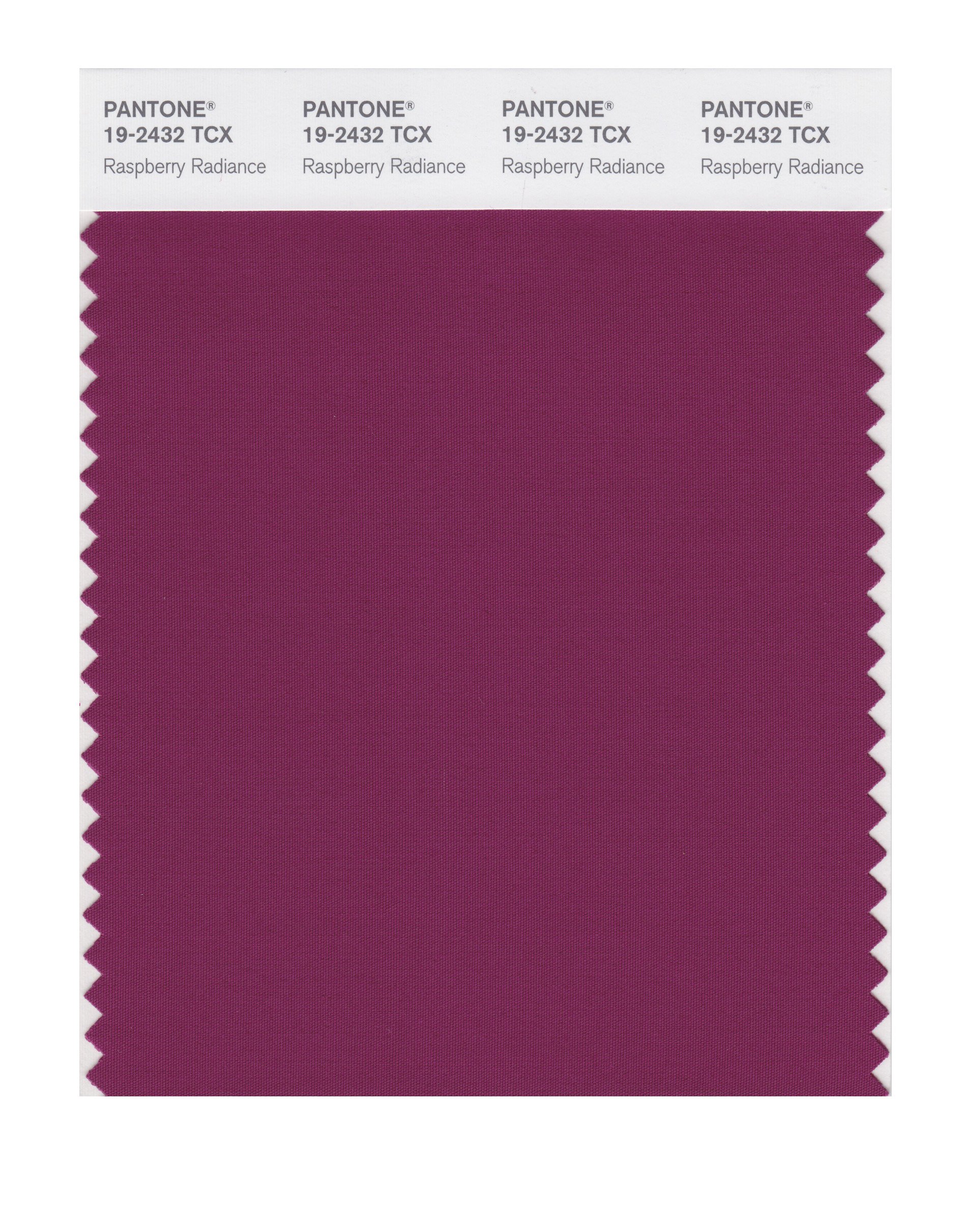 PANTONE Smart 19-2432X Color Swatch Card, Raspberry Radiance