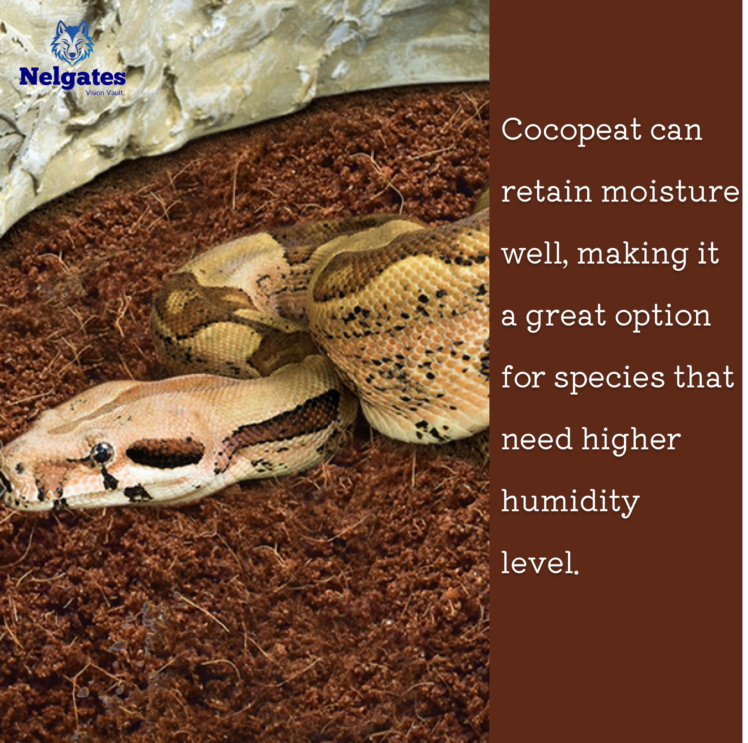 Nelgates Coco peat Block for Animal Bedding pet Products Dogs, Cats Reptiles Snakes Chicken Bird 1kg