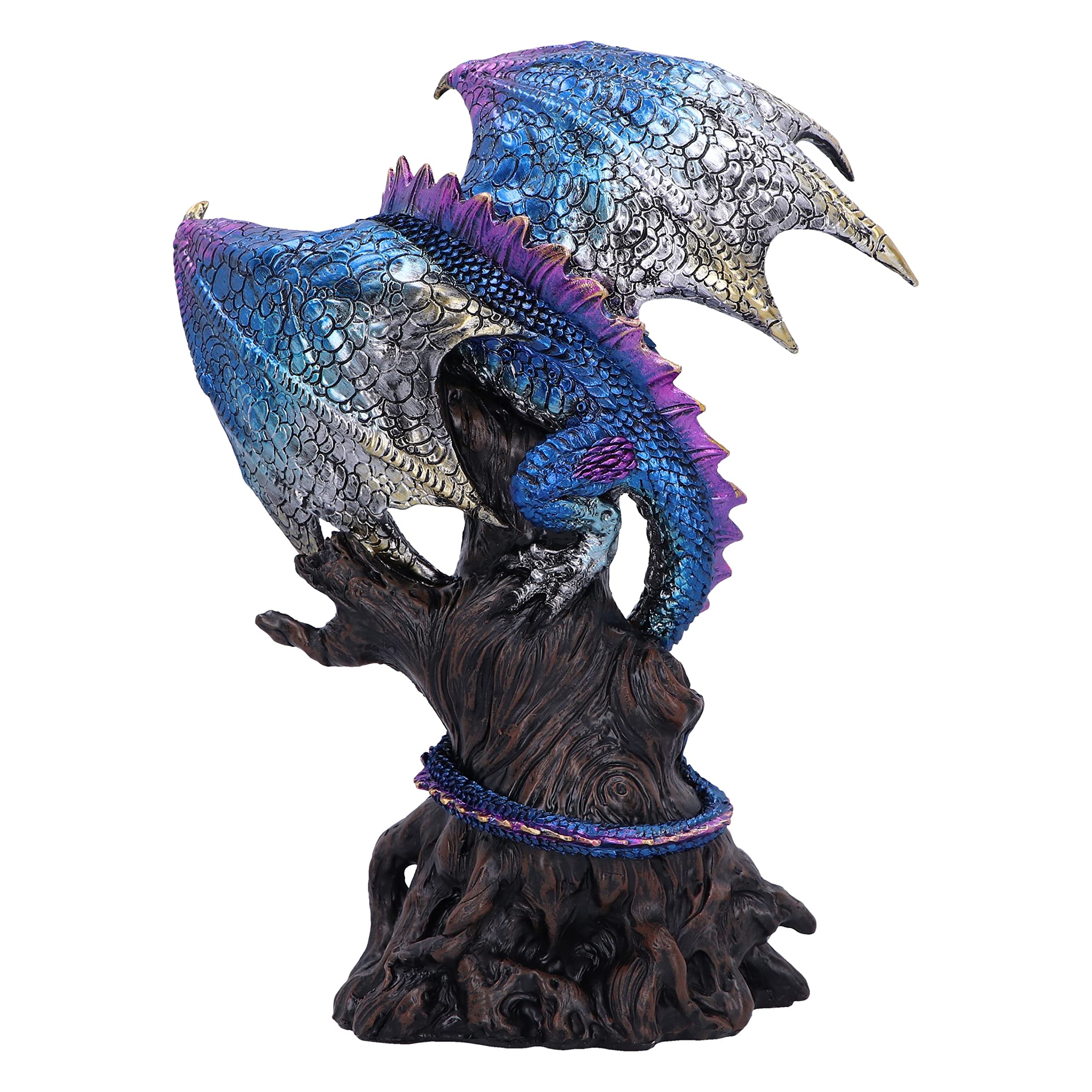 Nemesis Now Ealdwoode Figur 27,5 cm, Kunstharz, Drachen-Skulptur, Gothic-Fantasie-Merchandise, aus feinstem Kunstharz, handbemalt