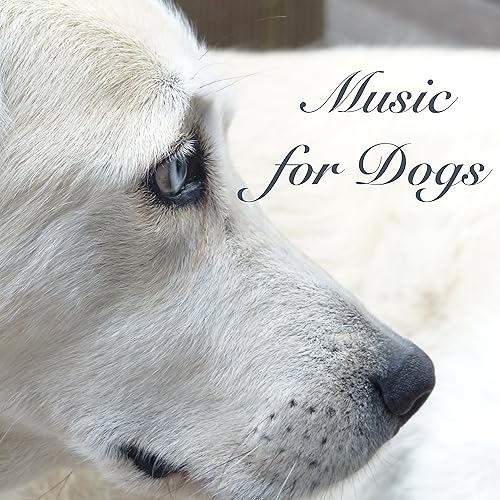 Music for Dogs Sleeping Songs for Pet Therapy and Soothing Sounds to