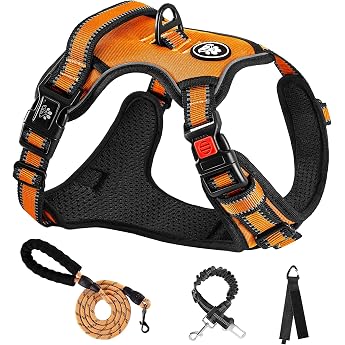 NESTROAD Dog Harness, Adjustable Dog Training Lead For Small/Medium/Large Dogs, Nighttime Reflective, Breathable, Mesh, Walking Assistance, Walk, Training, Lightweight, Safe, Stylish, Pull-Resistant
