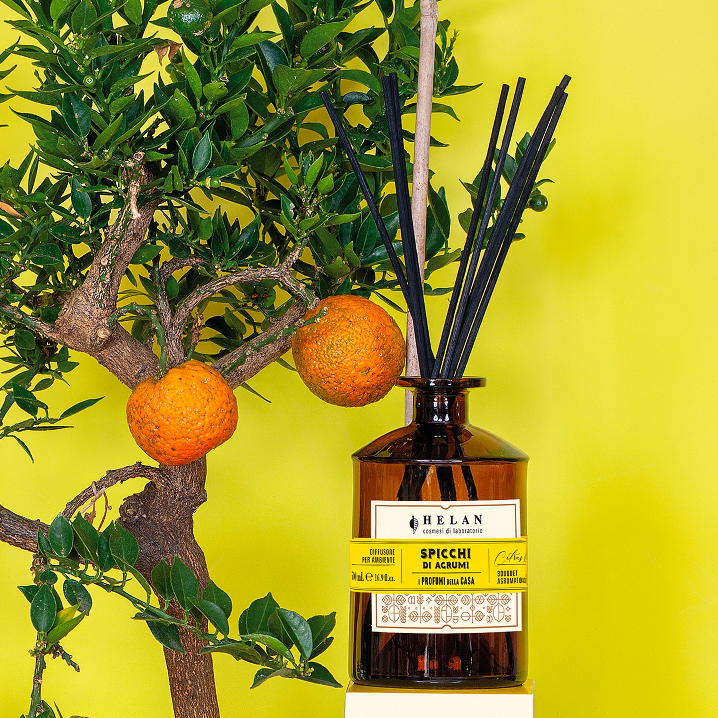 Helan Citrus Slices – Lufterfrischer, Raumduft mit Diffusorstäbchen aus Rattan mit süßen Orangennoten – Geschenkidee Lufterfrischer, 500 ml – Made in Italy