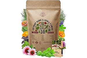 Organo Republic Culinary Herbs & Edible Flower Seeds Pack