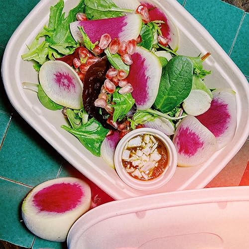 Miniatura 6 de Recipientes desechables de 48 onzas con tapas, bambú biodegradable ecológico y caña de azúcar, resistentes y a prueba de fugas, aptos para