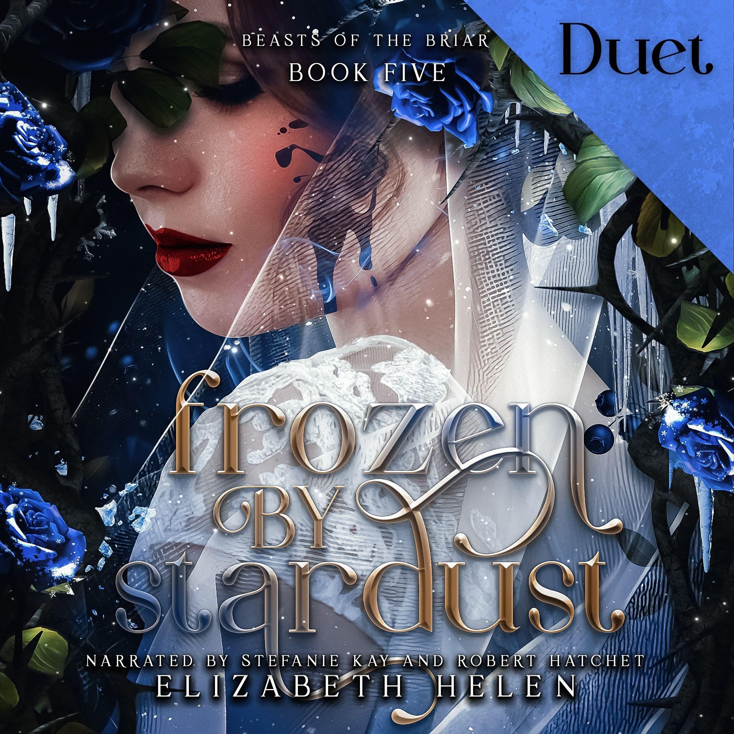 Cover art for Frozen by Stardust