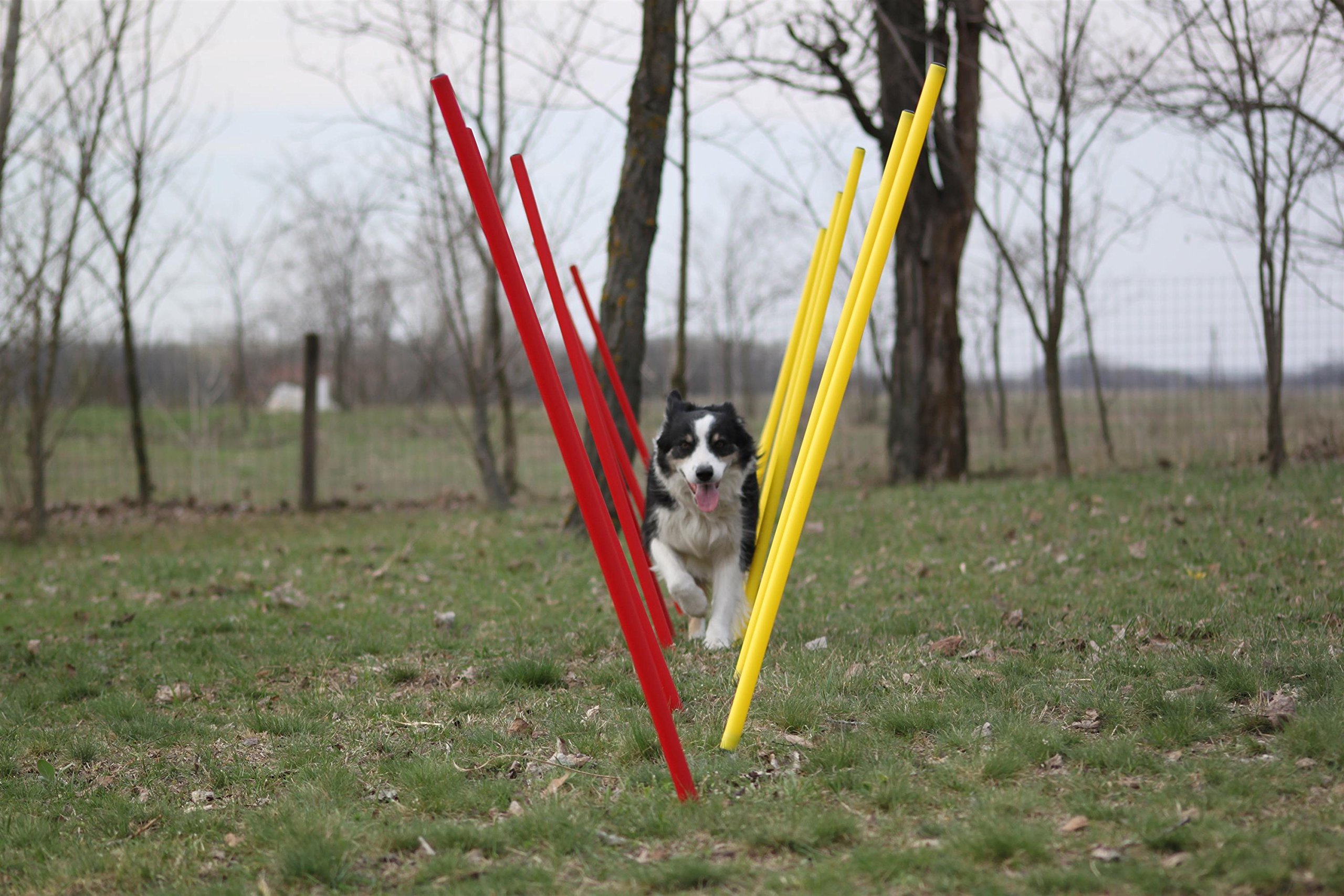 Fun Agility Agility-Übungs-Slalom-Set Rot/Gelb Flexible, Runde Stangen für Hunde
