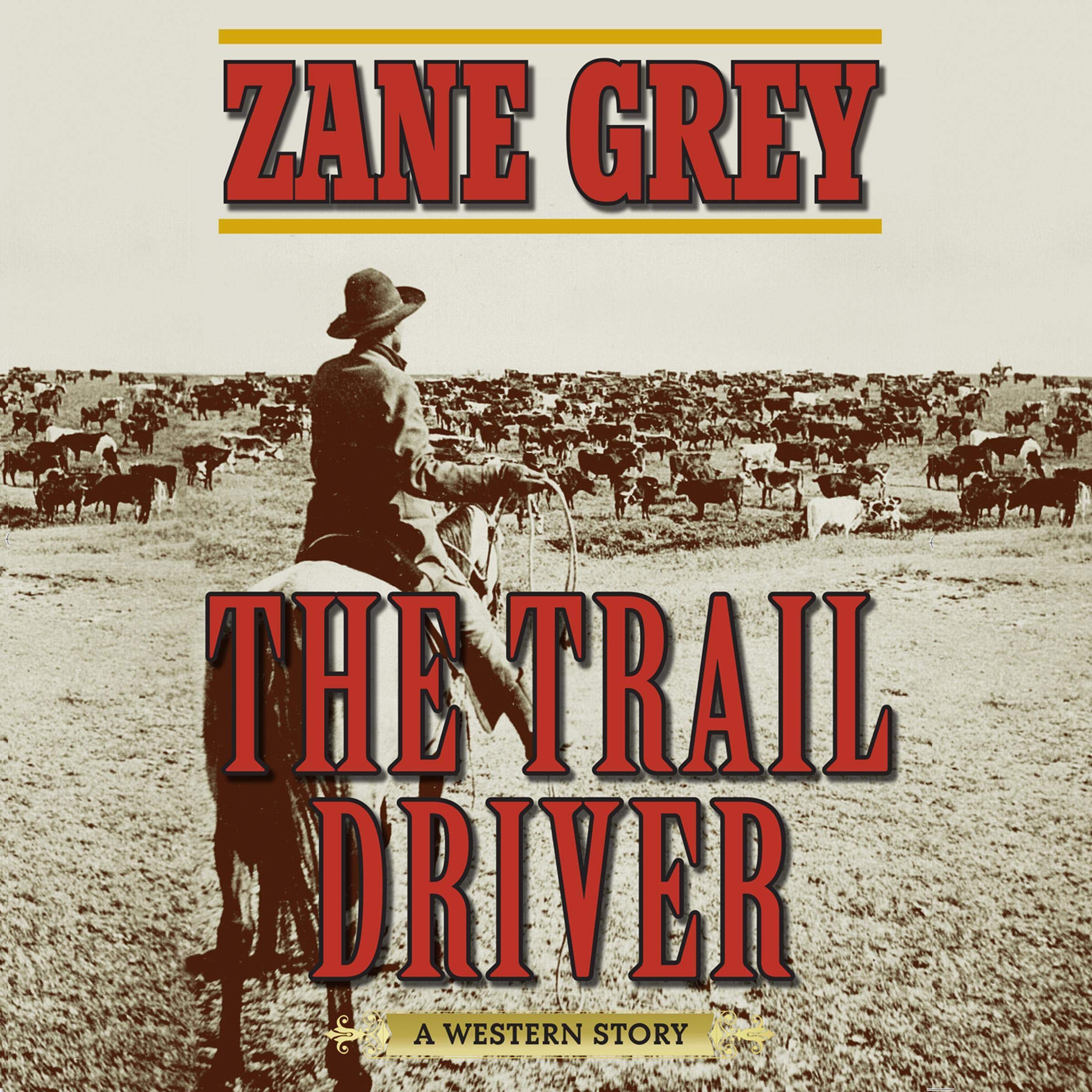 Cover art for The Trail Driver