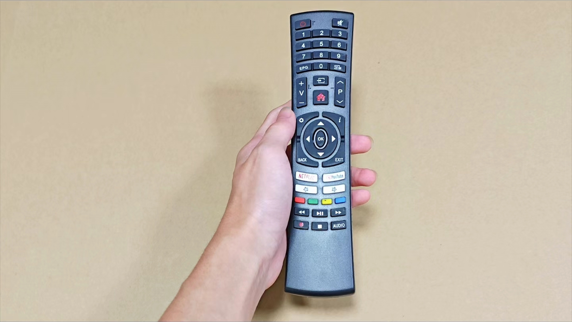 AULCMEET Telecomando di ricambio per SANSUI Smart TV