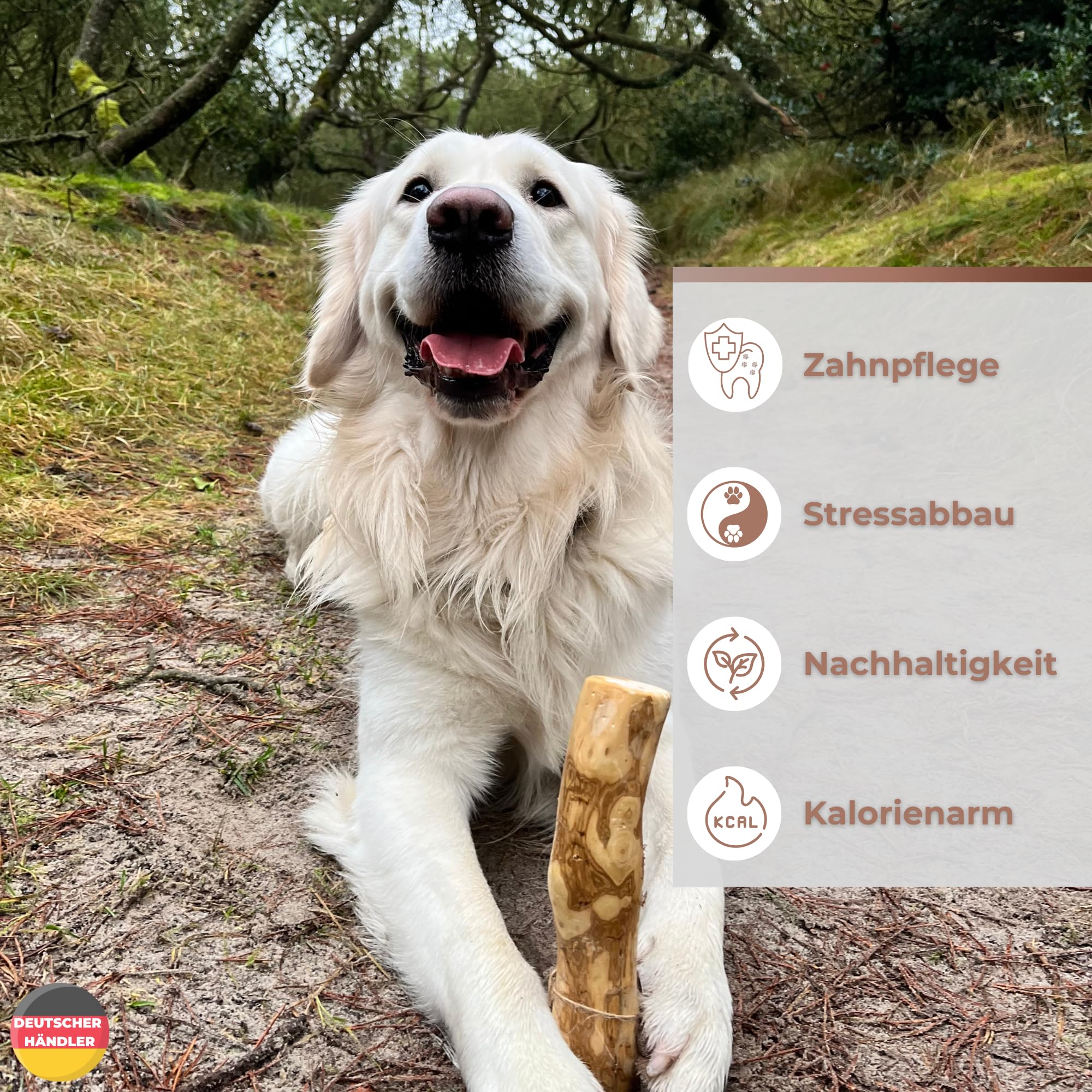 Zoys® Kaffeeholz für Hunde - Natürlicher Kauknochen für Hunde in 5 Größen - Kaustab für Zahnreinigung & Zahngesundheit & nachhaltige Beschäftigung - Hundezubehör langlebig & risikoarm (L, 3, stück)
