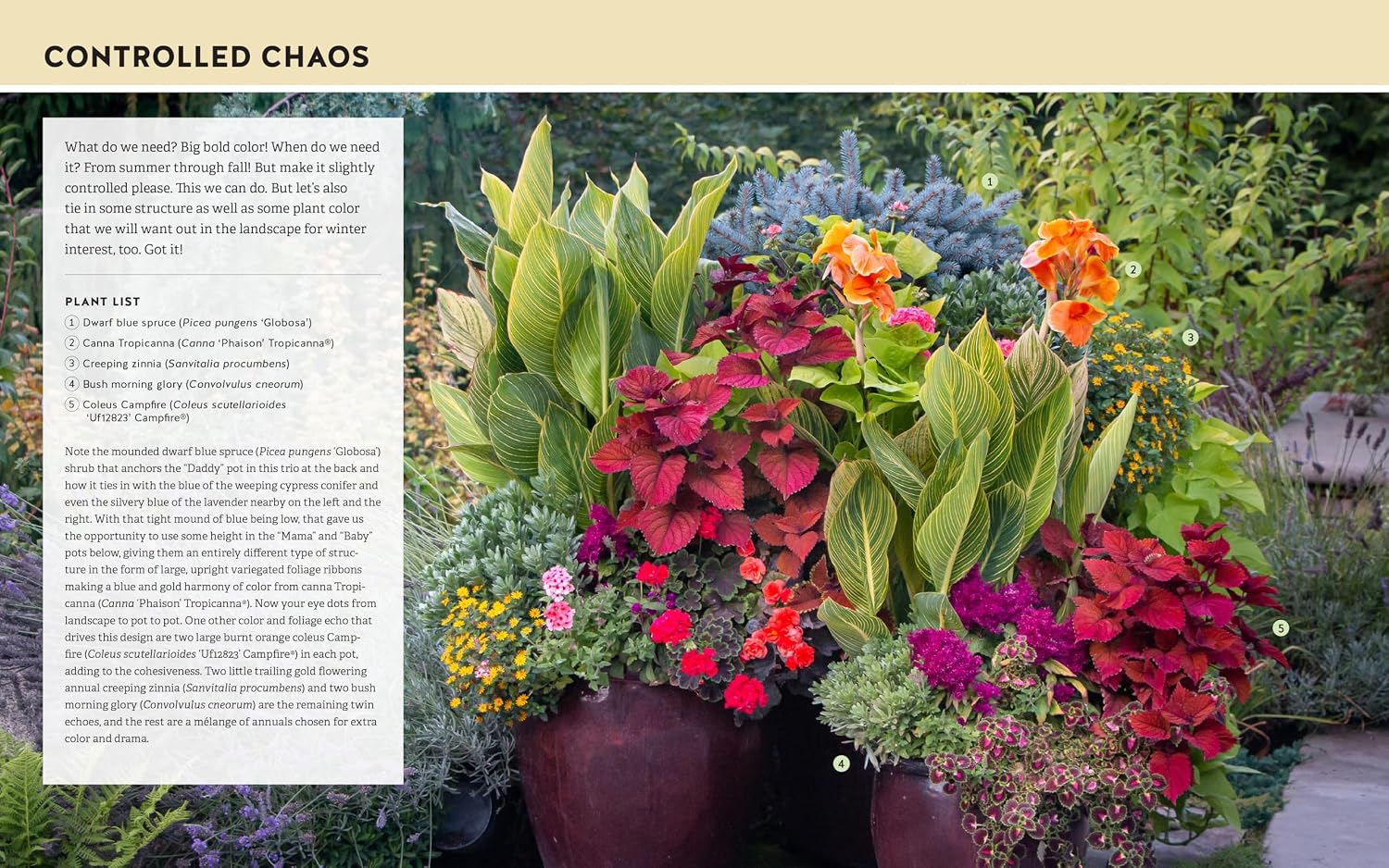 The Bold Container Garden: Joyful Combinations. Dramatic Color. Endless Inspiration.―With 75 Easy Plant-by-Number Layouts