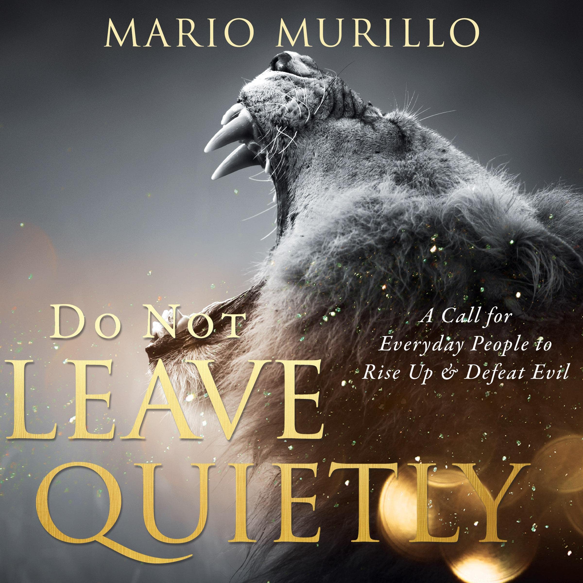Cover art for Do Not Leave Quietly