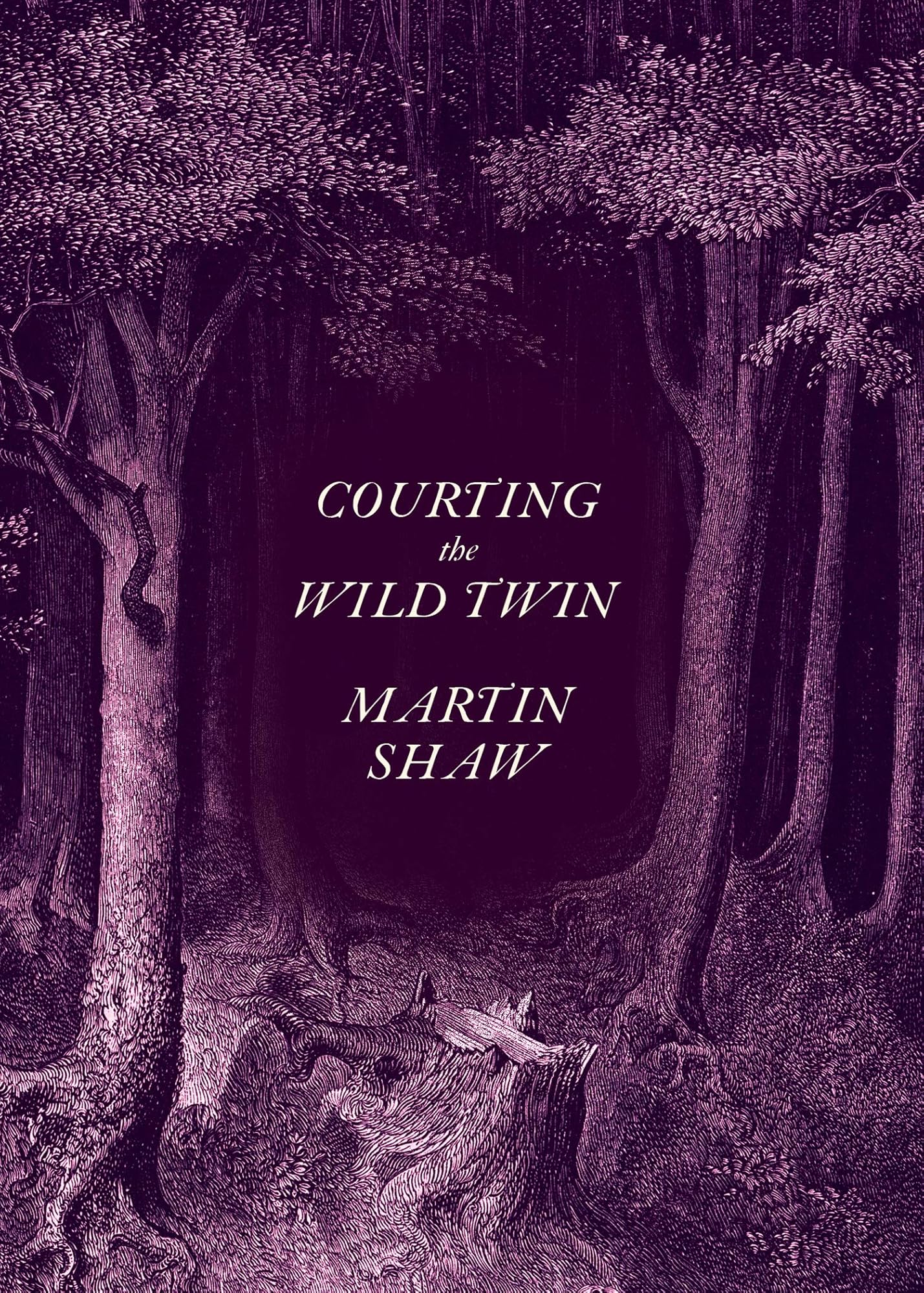 Cover of Courting the Wild Twin