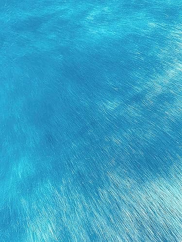 Miniatura 3 de Pelo corto de pelo sintético, pelo de 34 pulgadas, 60 pulgadas de ancho, vendido por The Yard (azul rey)