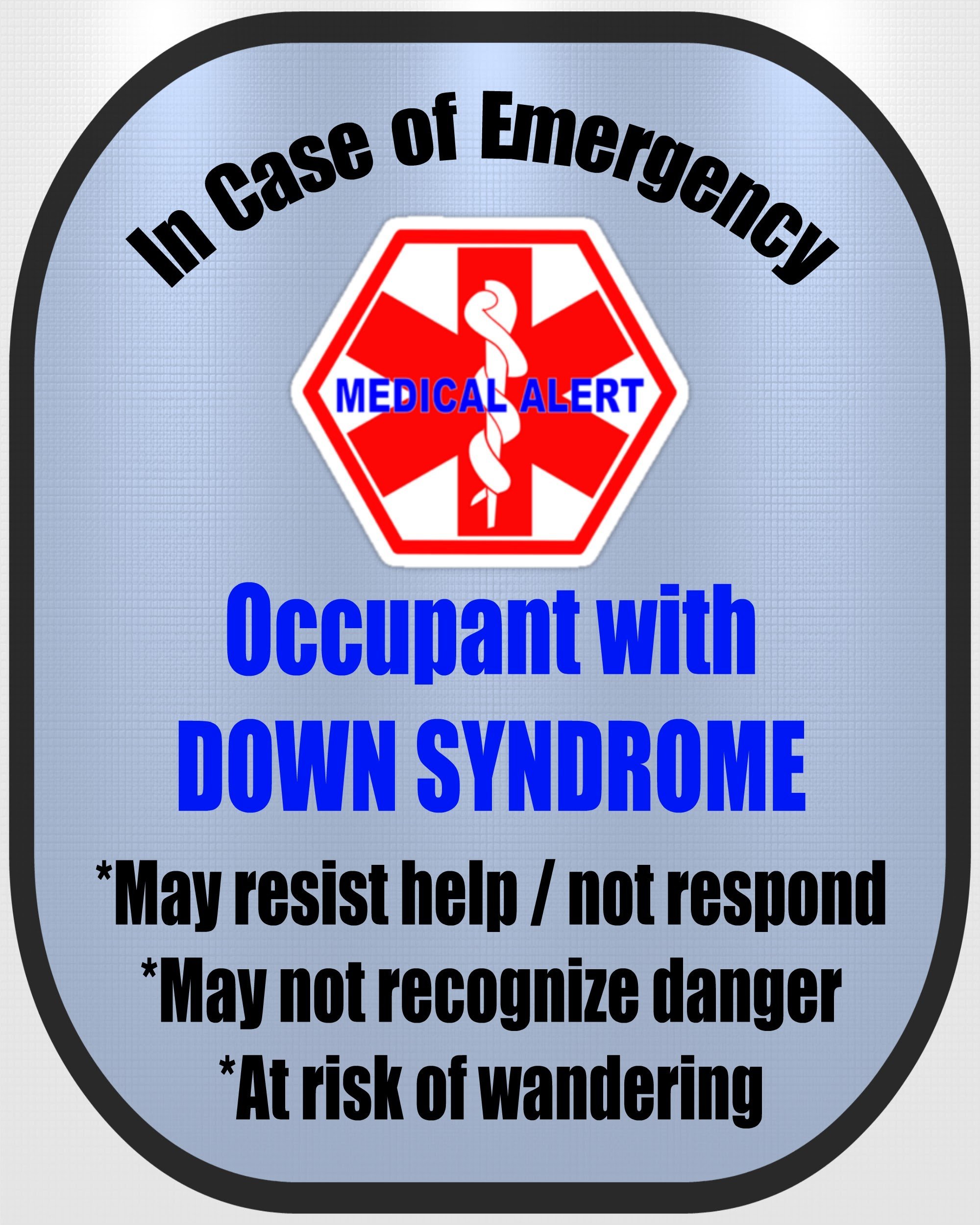 Down Syndrome 2 Pack Medical Alert Safety Decal Sticker