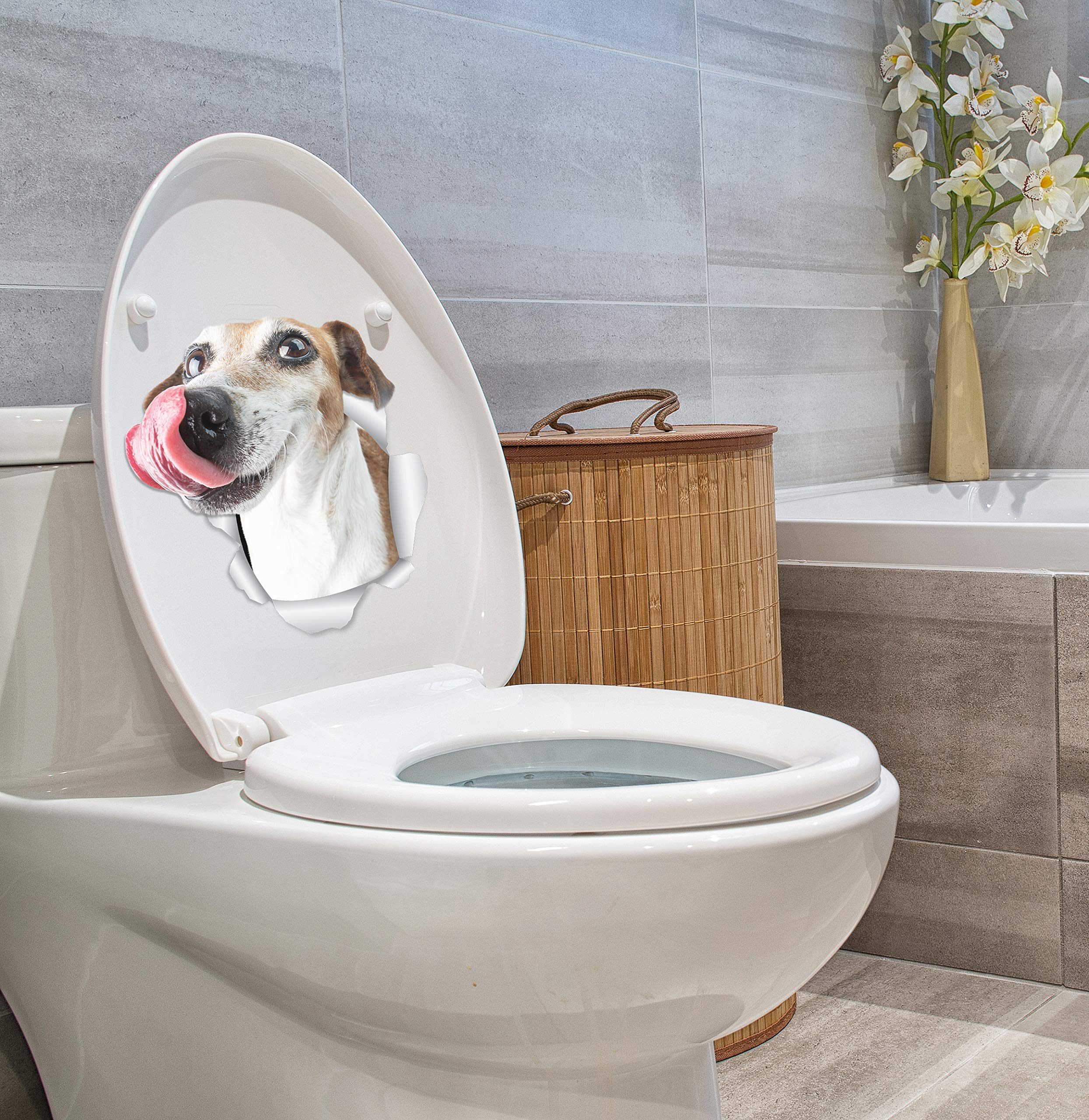 Winston & Bear Jack Russell Aufkleber – 2er Set, 3D-Optik, Für Wand, Auto, Fenster, Abziehbar