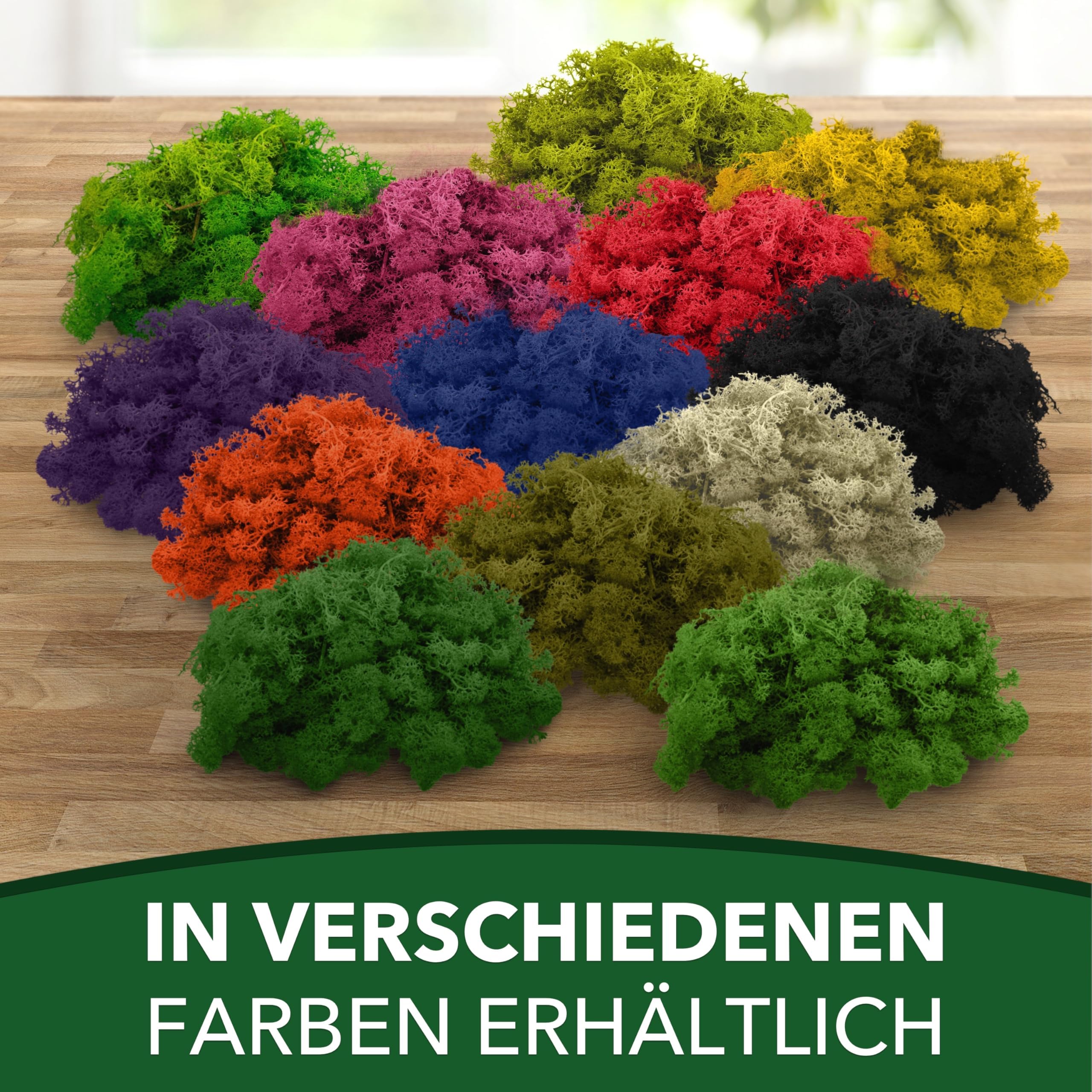 Sphagnum-Shop Islandmoos Rentierflechte konserviertes Moos in Hellgrün 1000 g | Echtes buntes Deko Moos für Moosbild Modellbau Basteln