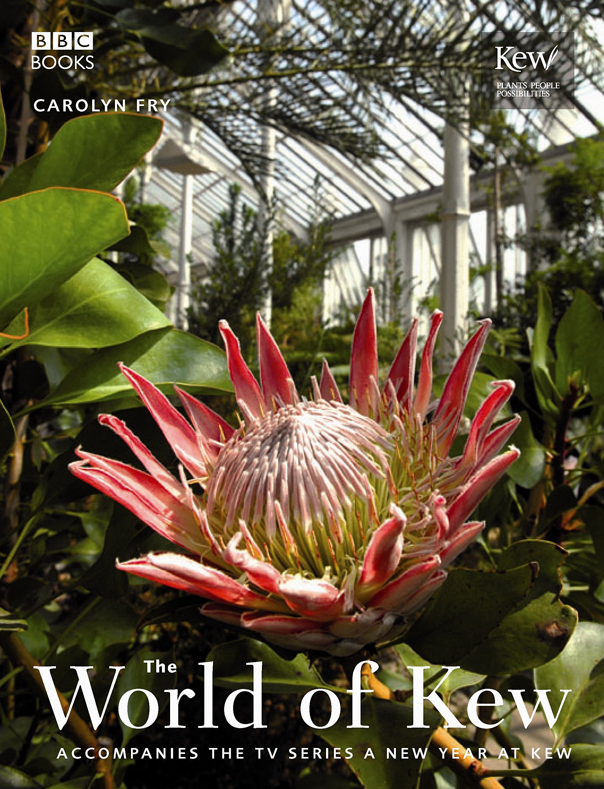 World of Kew, The: (E) (A New Year at Kew)