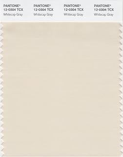 PANTONE Smart 12-0304X Color Swatch Card, Whitecap Gray